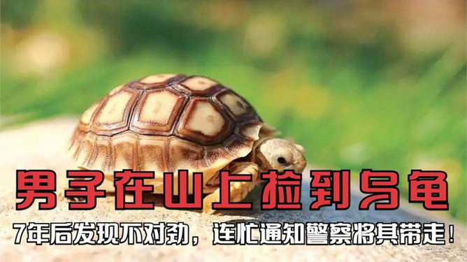 最新资讯 第34页