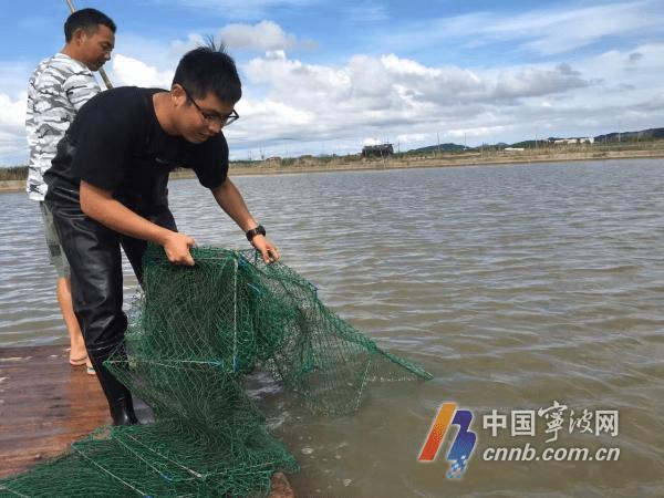 热点生活 第8页